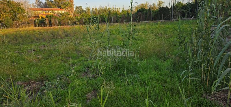 Foto c12fff2e-6a57-4bd7-a0a8-29cef91e2293. Propriété dans Oliva nova Oliva