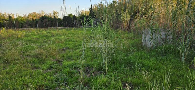 Foto d3aebbff-56b2-4cfa-975f-5c03e6133e3e. Propriété dans Oliva nova Oliva