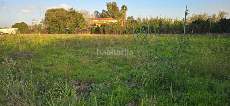 Foto d3daf946-a8ae-41ea-9274-235578c5eef3. Propriété dans Oliva nova Oliva