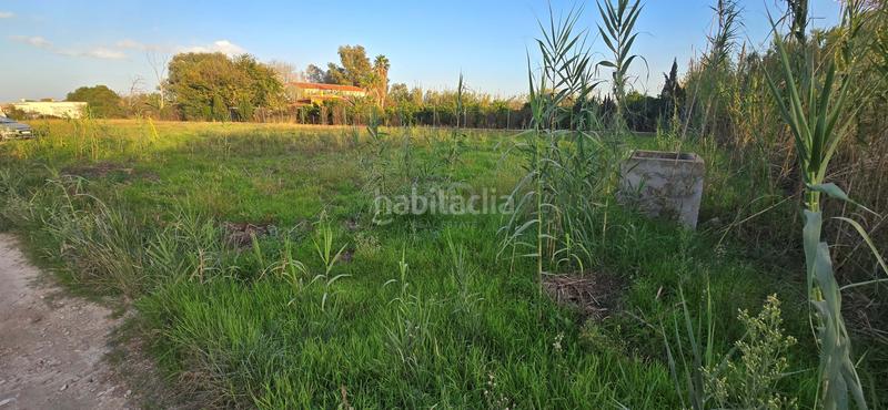 Foto 29fe616b-4829-436a-a788-5cbed762c40c. Finca rústica en Oliva nova Oliva