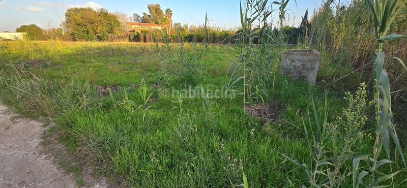 Foto 4e9e5fdb-dc6f-414a-a2e5-8b92cdc94036. Finca rústica en Oliva nova Oliva