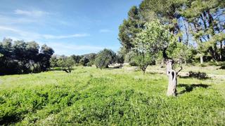 Terreno residencial en Murla