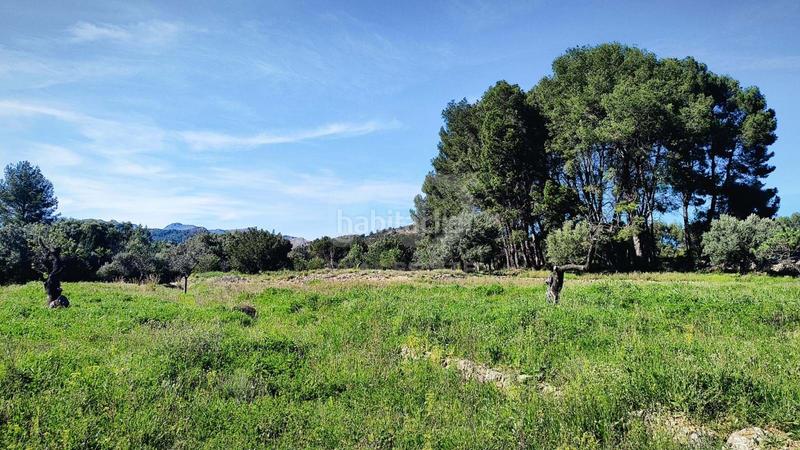 Foto 5ee0c06b-04d1-4450-a604-e9abe97c9140. Terreno residenziale in Murla