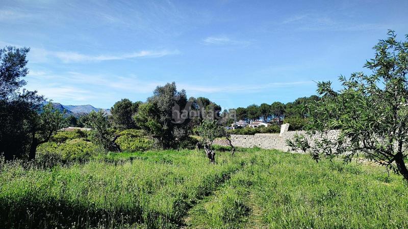 Foto 6442c5c2-51ec-4552-b57b-e846287cb5e1. Terreno residenziale in Murla