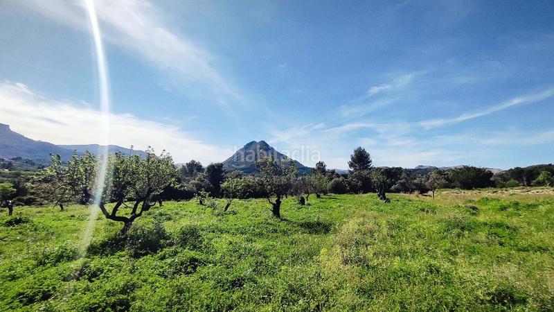 Foto 652faa49-ae16-4c2f-aa0b-58354ac2d081. Terreno residenziale in Murla