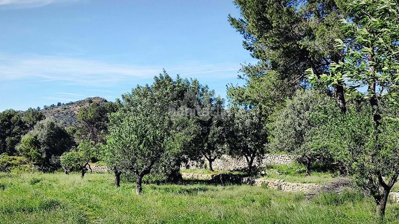 Foto 86ce9505-40ae-4114-8209-9f8fc3242a22. Terreno residenziale in Murla