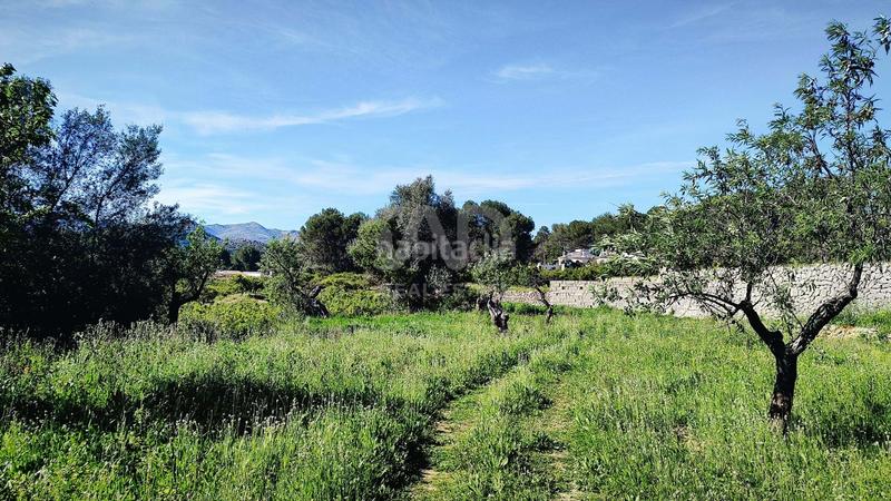 Foto 9208cded-d044-43df-8540-738406d2a0e4. Terreno residenziale in Murla