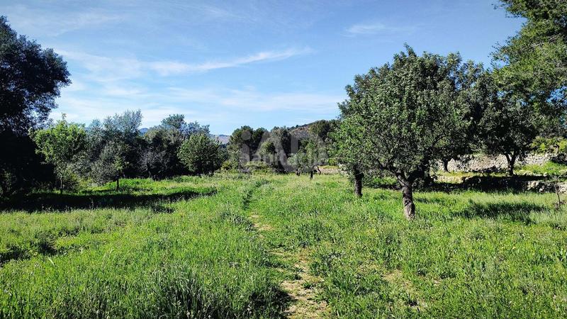 Foto a4aeac82-2ea7-4e21-9349-66c3f47d19c6. Terreno residenziale in Murla