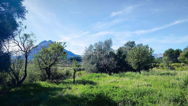 Foto cbefd882-4ce7-4fb4-a292-ad94517fb41c. Terreno residenziale in Murla