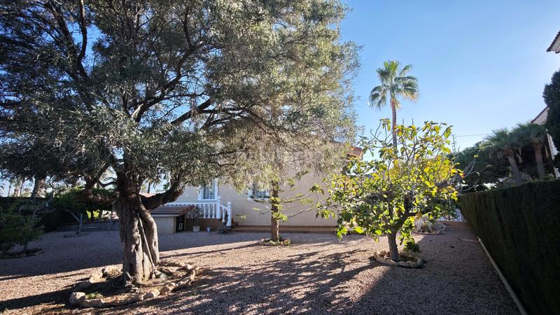 Foto 1a351a1b-242e-4c86-8851-404dd30cc3ec. Chalet in calle huracán 2 in Cabo Roig Orihuela