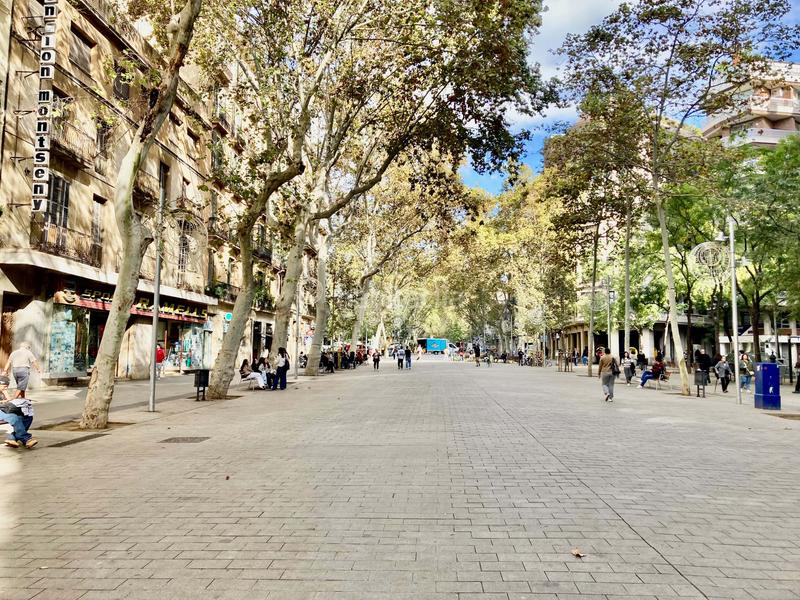 Foto 6055f544-d6e9-4e6a-b46d-263c53eea9a2. Appartamento in plaça del pes de la palla in Raval Barcelona