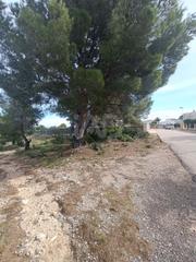 Wohngrundstück in Calafat