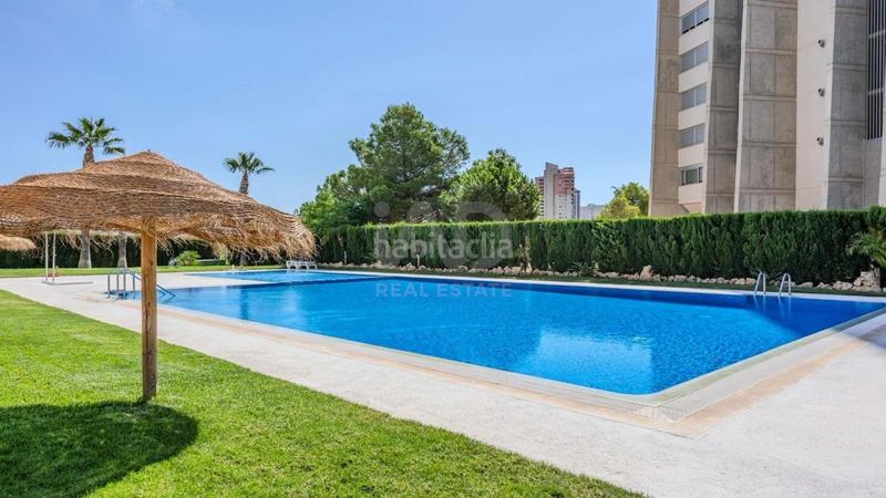 Foto e291a258-e74e-404e-8901-4e8334d3d3c6. Affitto appartamento con parcheggio piscina in Via Parque Benidorm