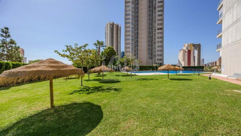 Foto c719f5df-ac0d-4ae0-95dd-175f179cb2ba. Alquiler piso en Via Parque Benidorm