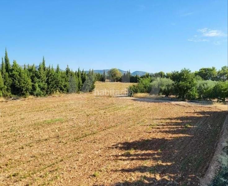 Foto 5fff90bd-ce8b-4288-8652-7f7f978c6dba. Masía en Camarles