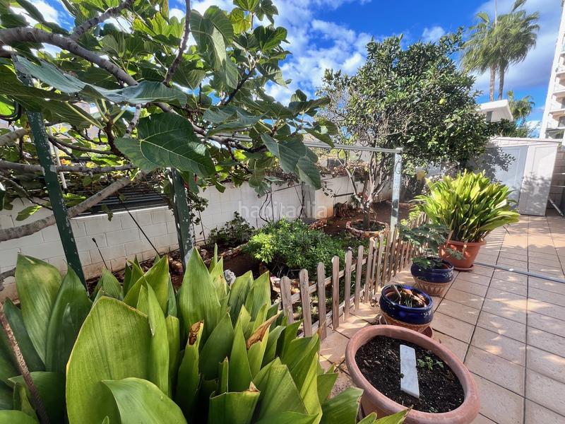 Foto d7b58923-de23-495f-af94-97215eb0c823. Appartamento con riscaldamento parcheggio piscina in Oropesa del Mar