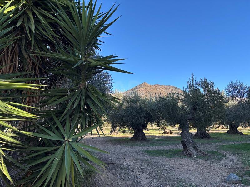 Foto 5888b6f3-cf61-405c-9bfc-205b63f57342. Appartement dans Els Grecs-Mas Oliva Roses