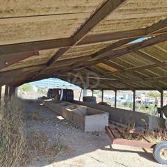 Finca rústica en Arcos de la Frontera