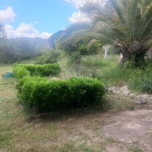 Foto a0eb57aa-300e-4e91-886b-83f79e4fa873. Terreno residenziale in Alforja