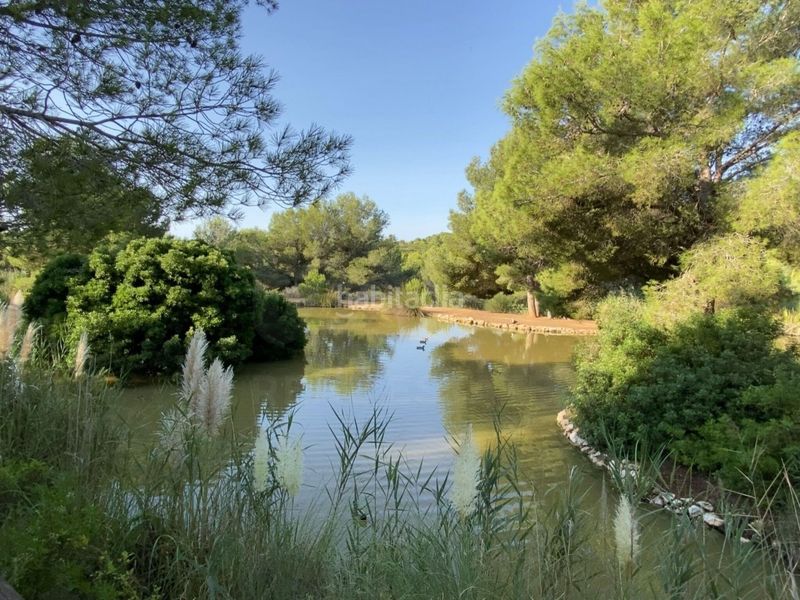 Foto 7dd44ea4-d6d9-4b4b-a734-493028da116a. Terreny residencial a Roda de Barà