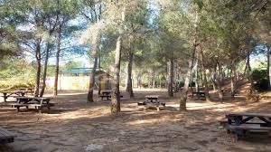 Foto f0a102c3-6818-43e5-be97-b5578ead34ea. Terreny residencial a Roda de Barà