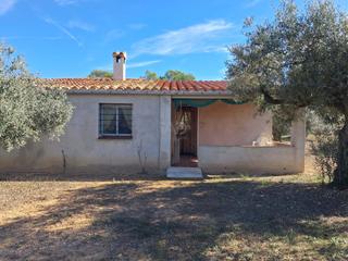 Rural plot in Tivissa