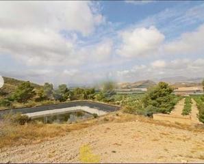 Landgut in Pozo Higuera