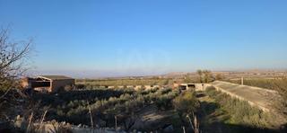 Terreno residenziale in Vilagrassa