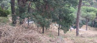 Residential Plot in Sant Cebrià de Vallalta