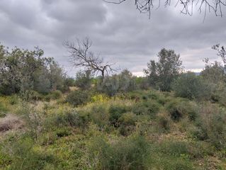 Fondo rustico in Tivenys