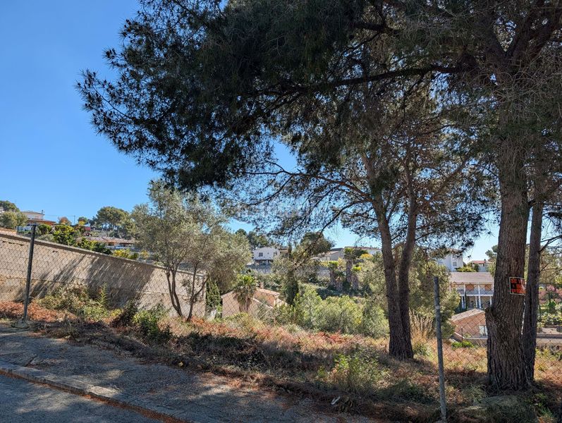 Foto fe666687-6ab8-405e-84ba-8bbe5e76b9cb. Terreny residencial a costa Cunit - els jardins - els rosers Cunit