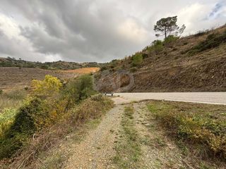 Rural plot in Porrera
