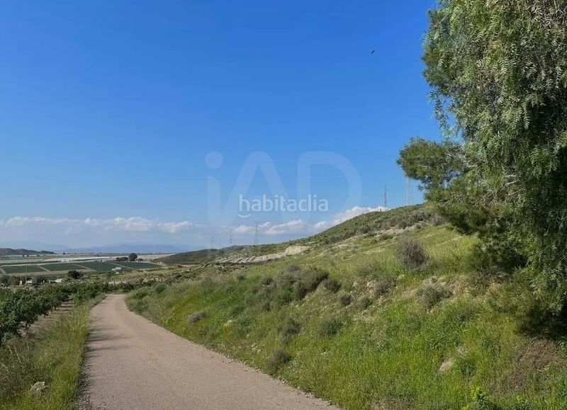 Foto 00ecdb71-6a77-4c18-8e02-ec8edc2c2bcb. Finca rústica a Pozo Higuera Lorca