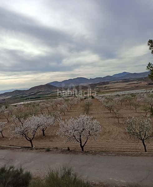 Foto 231f47aa-3091-4e2c-9d59-76ba7ab72df4. Finca rústica a Pozo Higuera Lorca