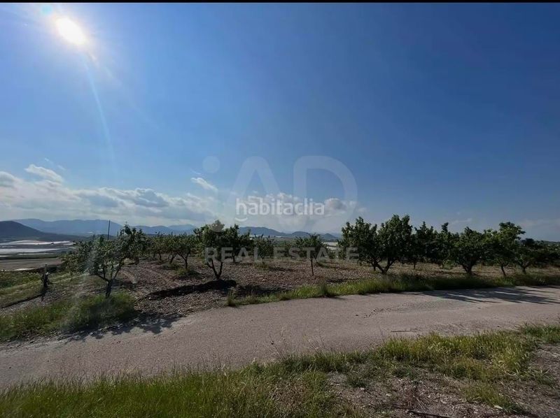 Foto 3f62250d-83fc-4b3a-83a6-9bd714957f00. Finca rústica a Pozo Higuera Lorca