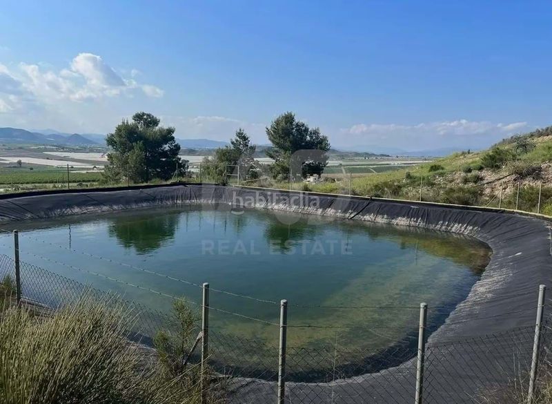 Foto 61ce84f8-7f9a-43bf-9274-1adbd243c0eb. Finca rústica a Pozo Higuera Lorca