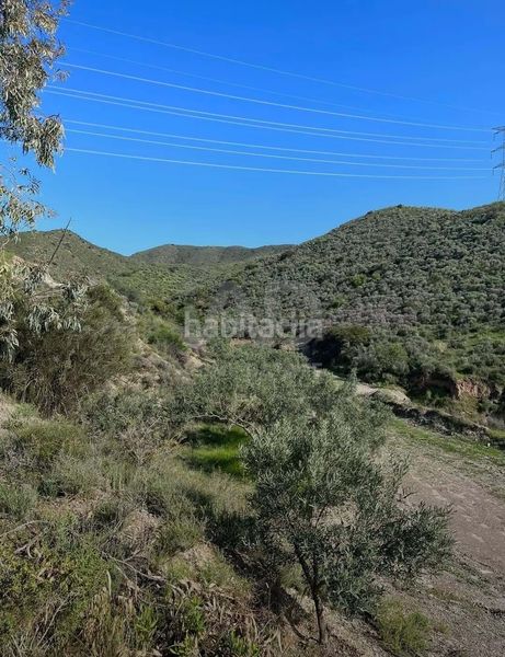 Foto 623d51fa-c321-48c7-8f87-63834c155ec8. Finca rústica a Pozo Higuera Lorca