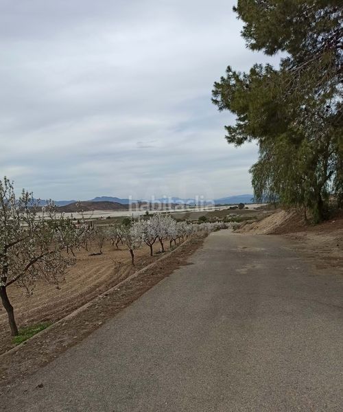 Foto 6f2526be-9a8b-4a99-9c2f-a79f400fbe04. Finca rústica a Pozo Higuera Lorca