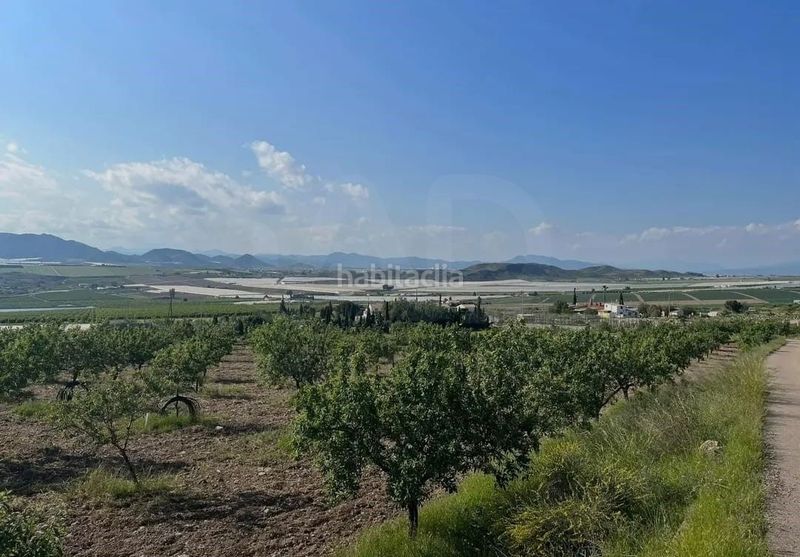 Foto 878adc3e-7b85-4219-8529-503dde4fe90a. Finca rústica a Pozo Higuera Lorca