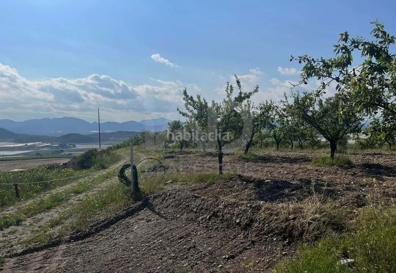 Foto 9a936236-46dd-4ad2-bbce-699c5be9e2f2. Finca rústica a Pozo Higuera Lorca