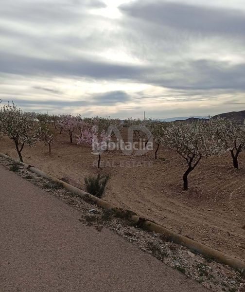 Foto a6466180-56af-446e-b1da-299ae50da2f7. Finca rústica a Pozo Higuera Lorca