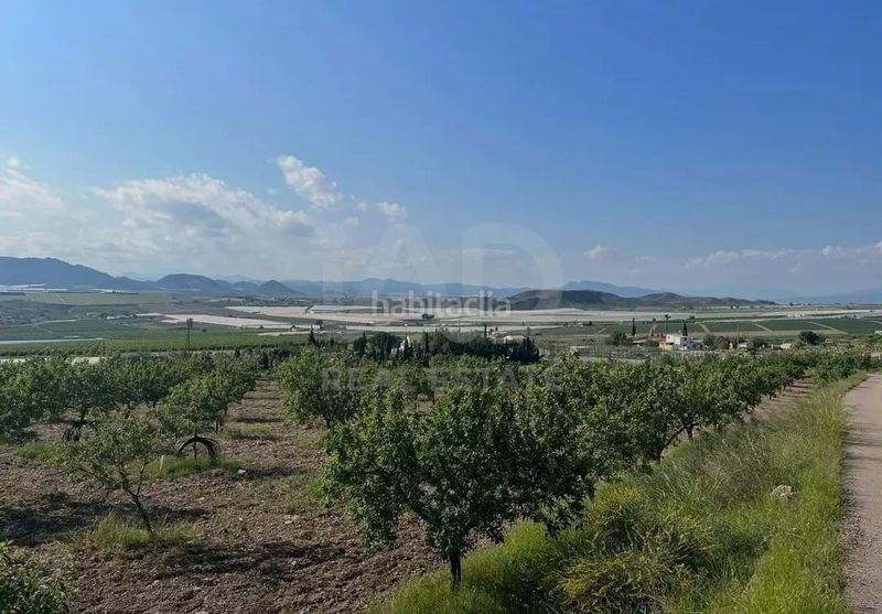 Foto a97a7a6b-bc2a-447a-8679-818a02ba1c3a. Finca rústica a Pozo Higuera Lorca