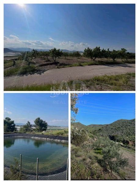 Foto b013acf6-1d42-4fb4-b099-484c76354b8b. Finca rústica a Pozo Higuera Lorca