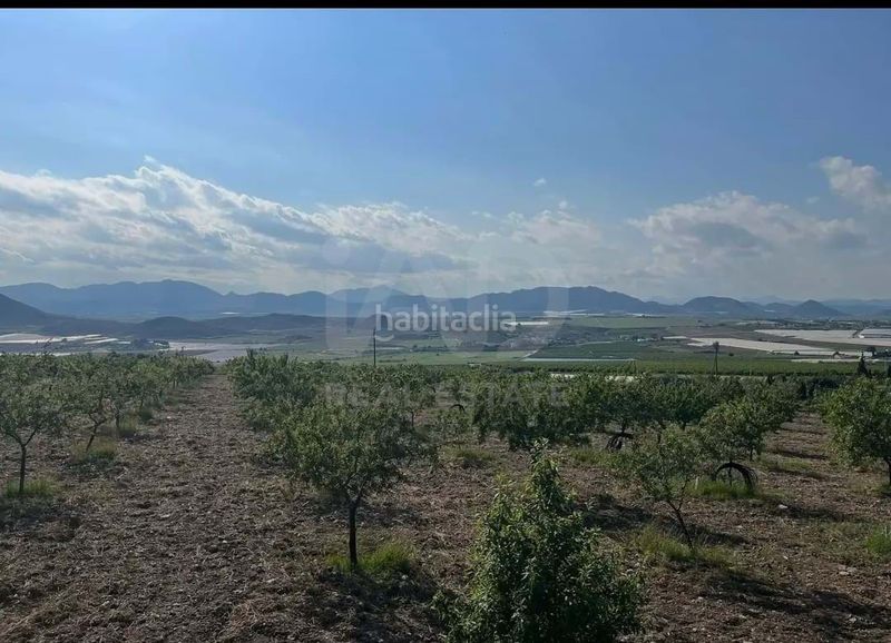 Foto b43b0f0e-61d6-4db2-b97f-dfe1c82bb7df. Finca rústica a Pozo Higuera Lorca