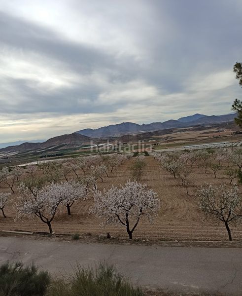 Foto d3d203b1-108a-4620-8cf9-e98042d13e3c. Finca rústica a Pozo Higuera Lorca