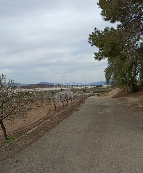 Foto ded91645-6130-4a71-8a47-ec2594445420. Finca rústica a Pozo Higuera Lorca