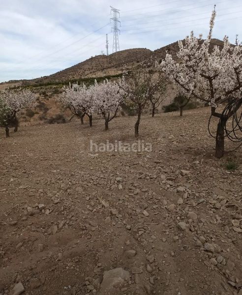 Foto ebbaca66-0284-4888-95a6-040e5be80cfb. Finca rústica a Pozo Higuera Lorca