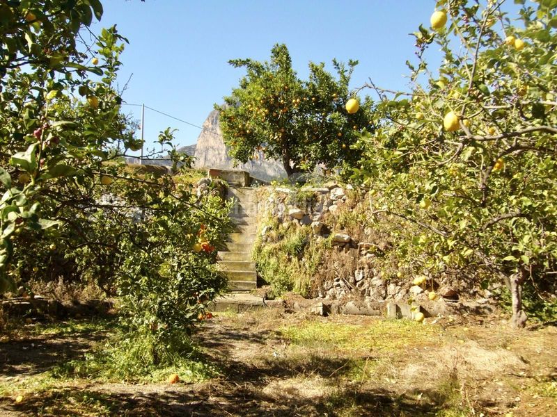 Foto 1dd68036-4e0a-41b9-ab01-3db2fb864ef6. Finca rústica a Casco urbano Polop