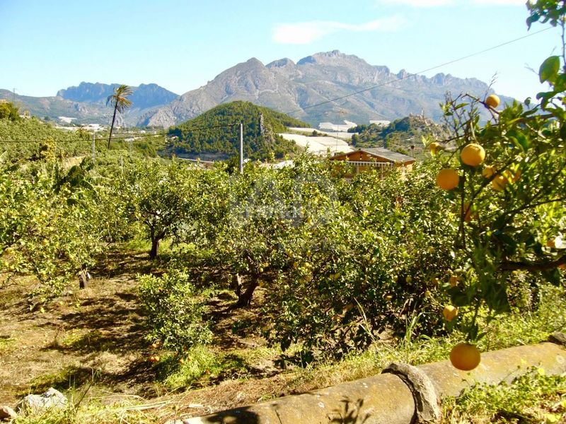 Foto 583d1a50-0110-4451-885e-e59720211014. Finca rústica a Casco urbano Polop
