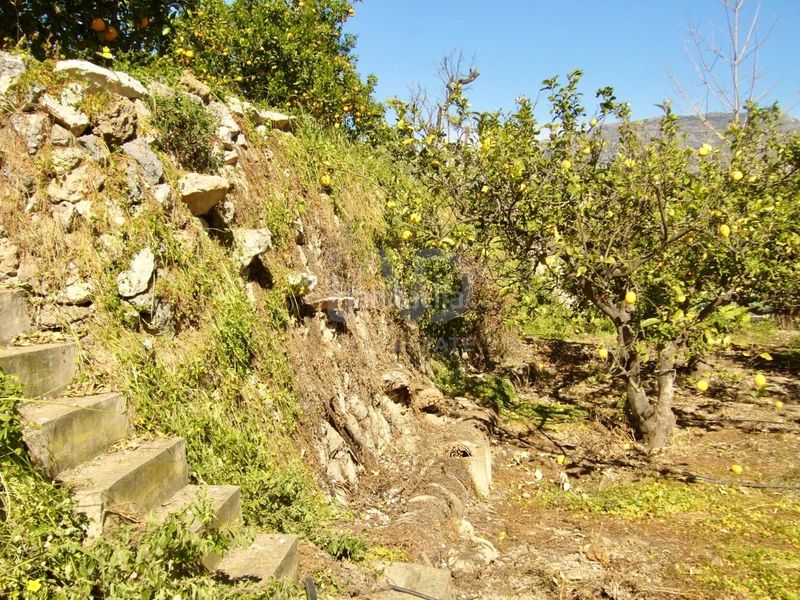 Foto c2200144-495b-4312-befd-86e9ab69a434. Finca rústica a Casco urbano Polop